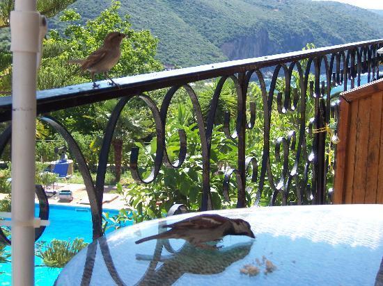 Bella Vista Hotel And Apartments Parga Dış mekan fotoğraf